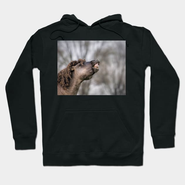 Flehming Hoodie by hton